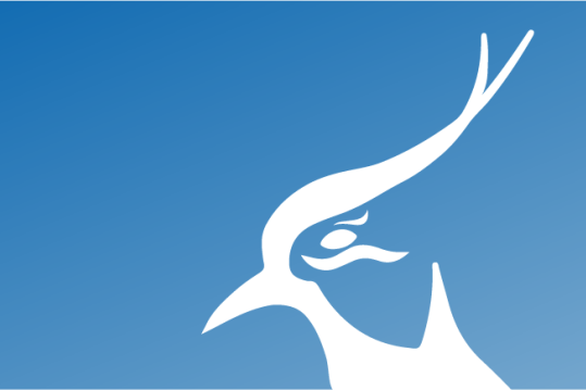 Gemeindenachrichten Juni 2024